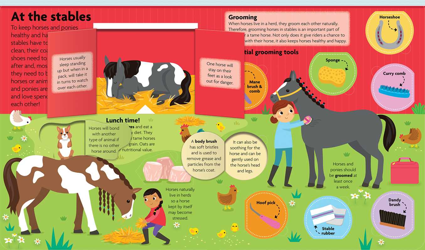 All About Horses & Ponies: Lift-the-Flap Book by