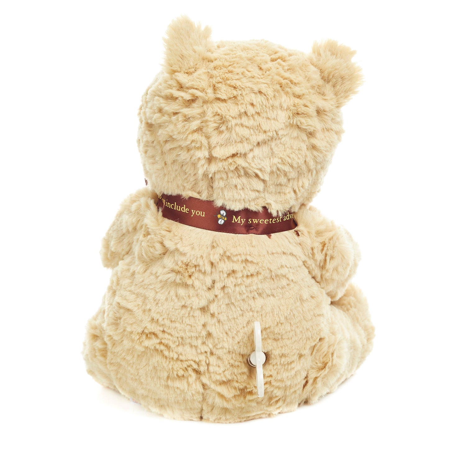 Pooh Waggie Musical Toy