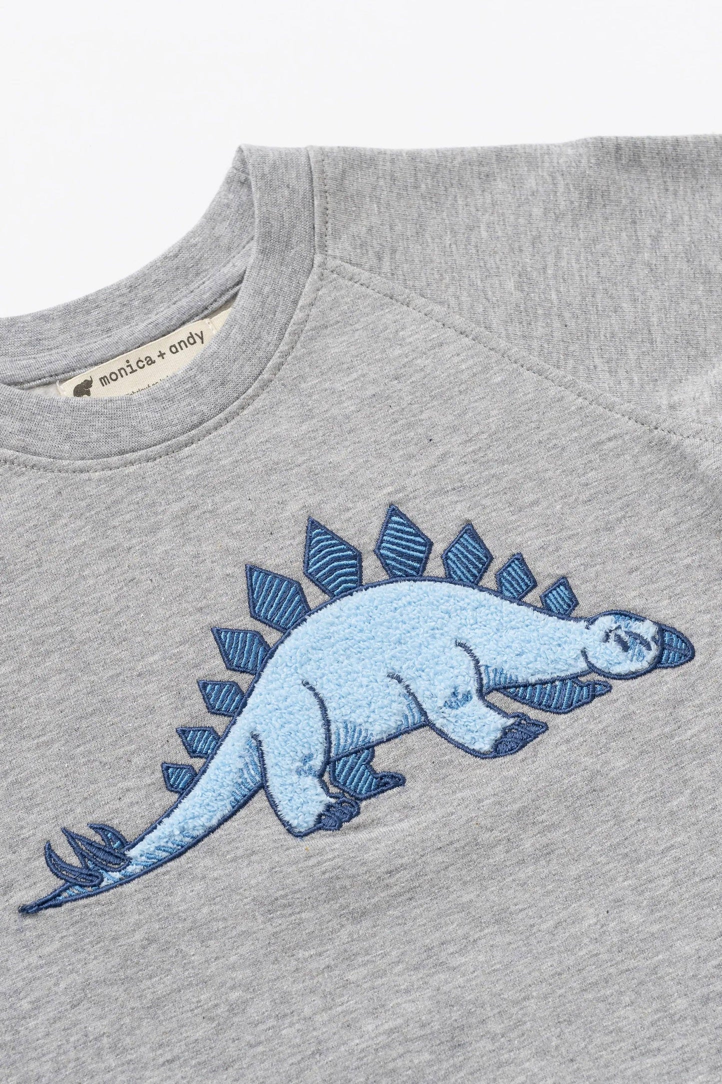 Dino Embroidery Sweatshirt
