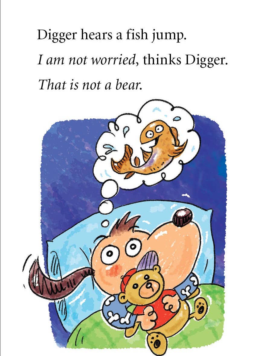 Digger and Daisy Go Camping Early Reader
