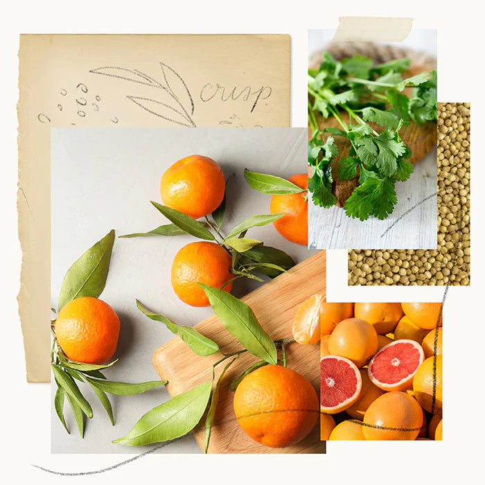 Mandarin Coriander Hand Wash