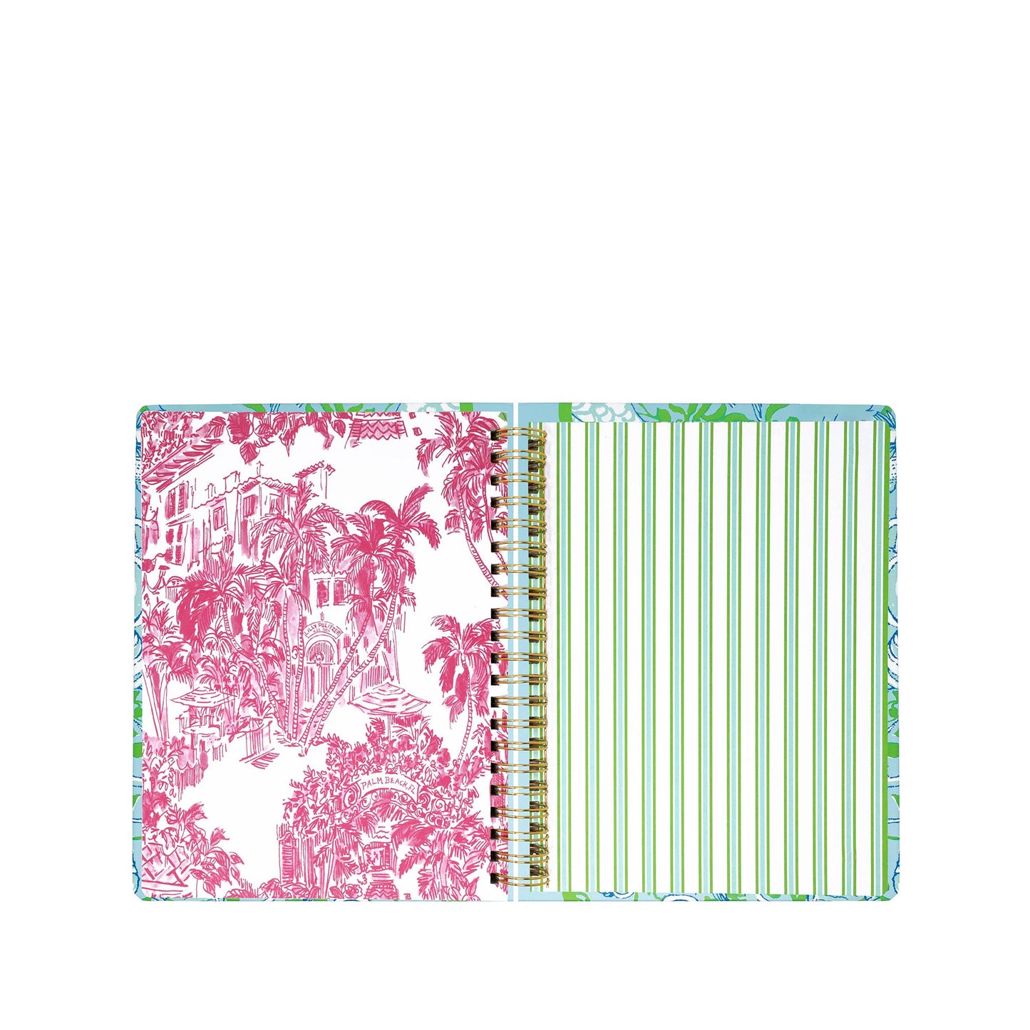 LP Jumbo Agenda (Throw Me a Line)