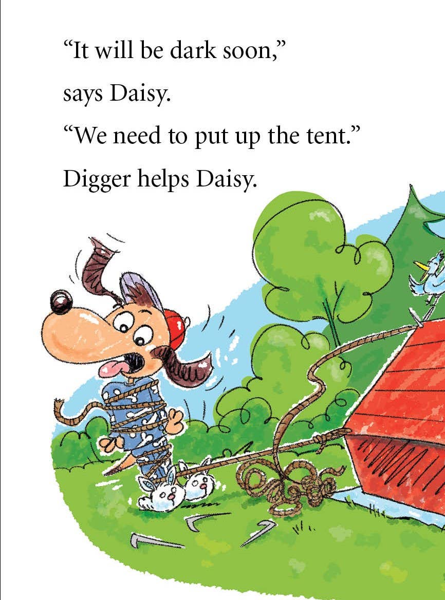 Digger and Daisy Go Camping Early Reader
