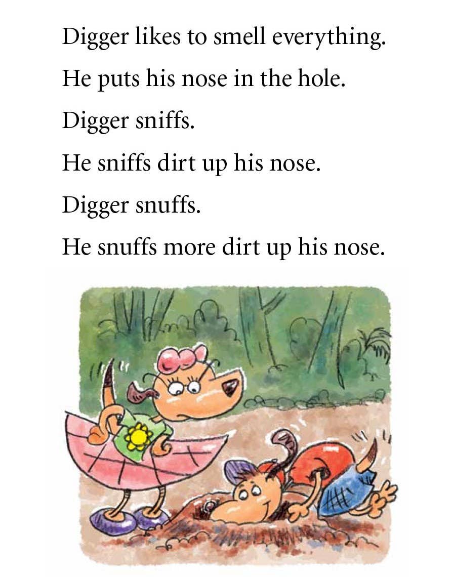 Digger and Daisy Go on a Picnic Early Reader
