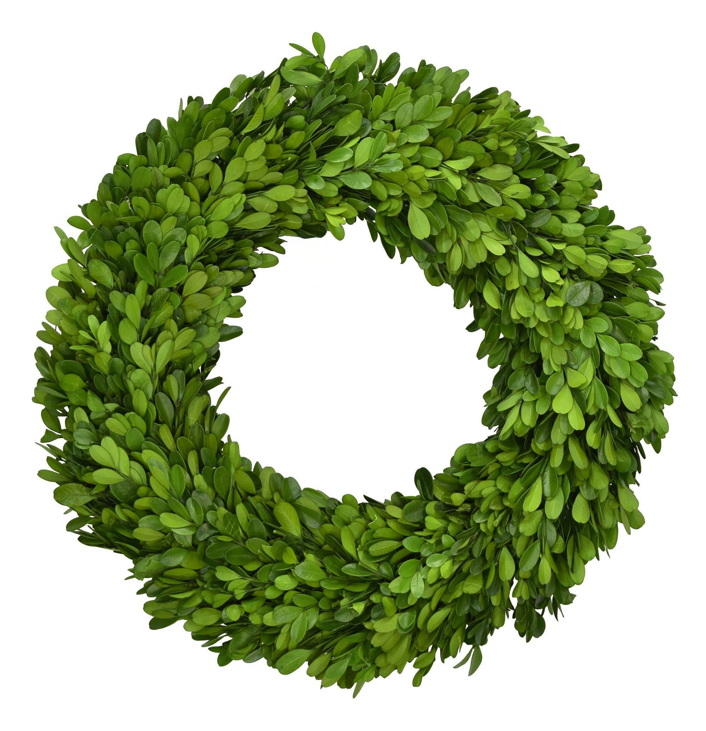Preserved Boxwood  Wreath