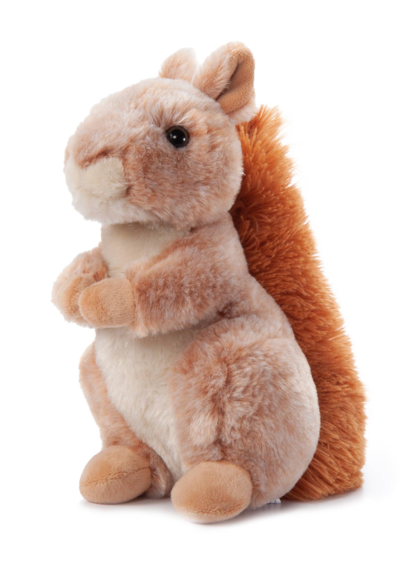 Squirrel Plush