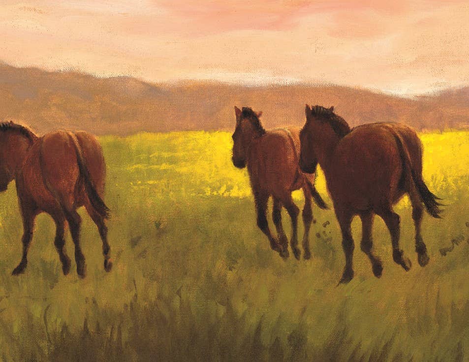 H is for Horse: An Equestrian Alphabet
