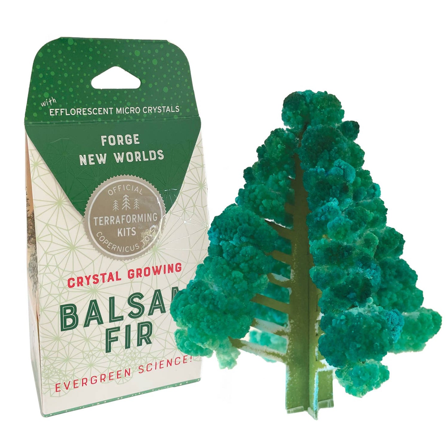 Crystal Growing Fir STEM Craft Kit