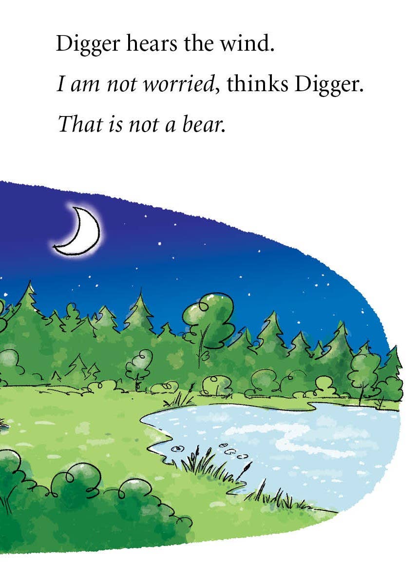 Digger and Daisy Go Camping Early Reader