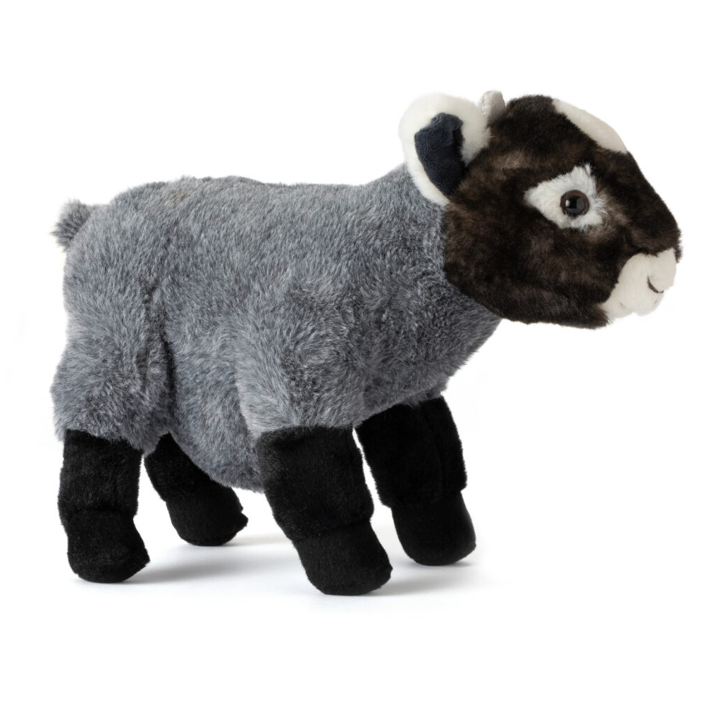 Pygmy Goat Plush