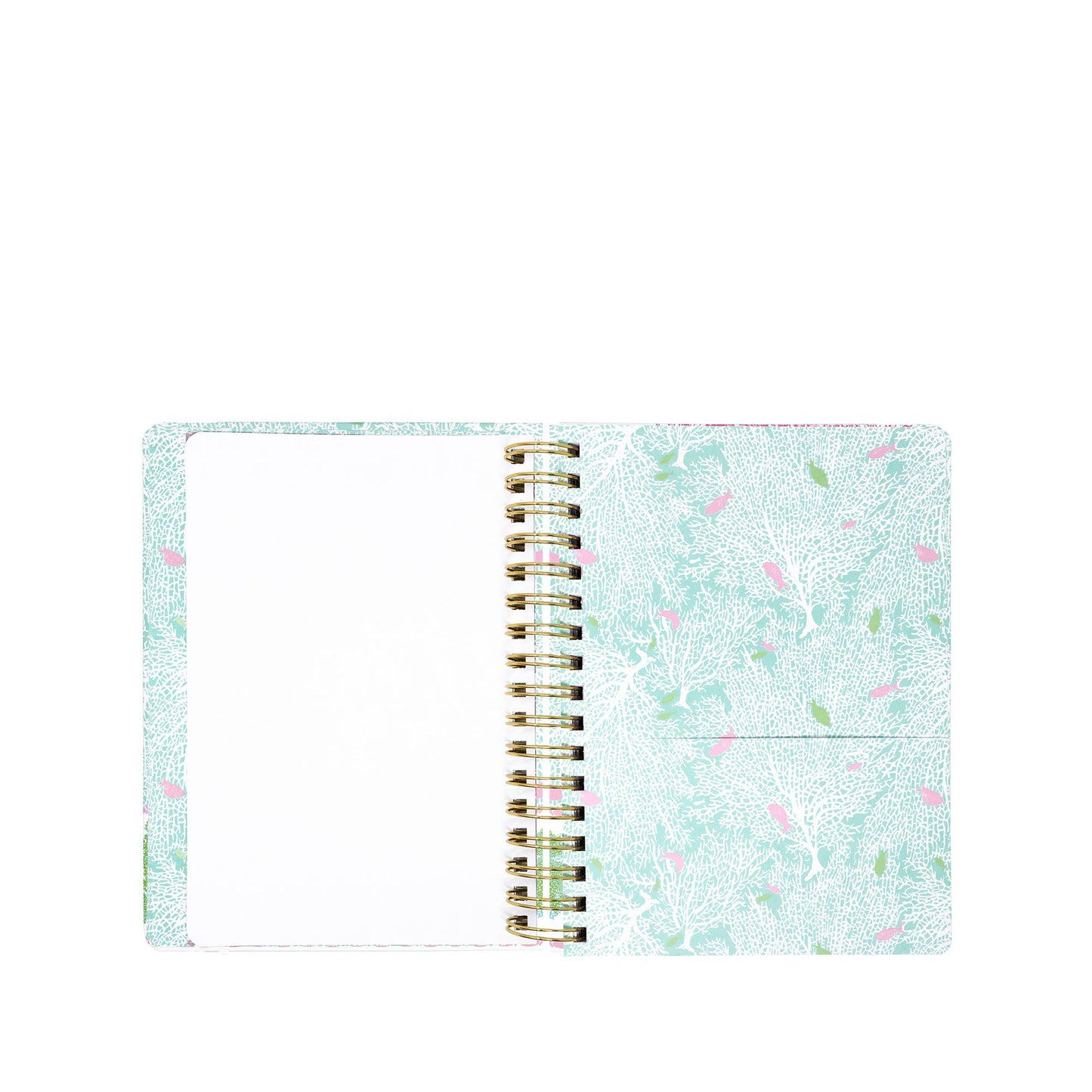 LP Large Agenda (Fantastical)