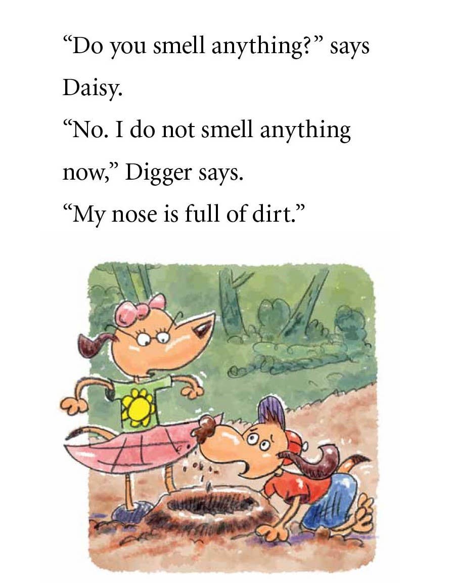 Digger and Daisy Go on a Picnic Early Reader