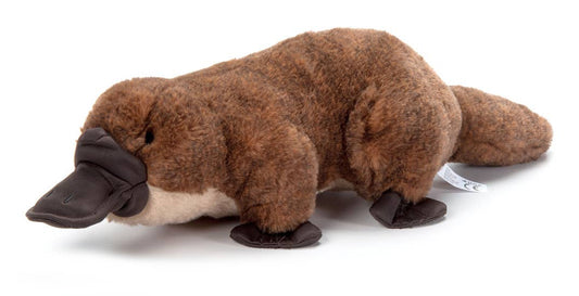 12" Platypus Plush