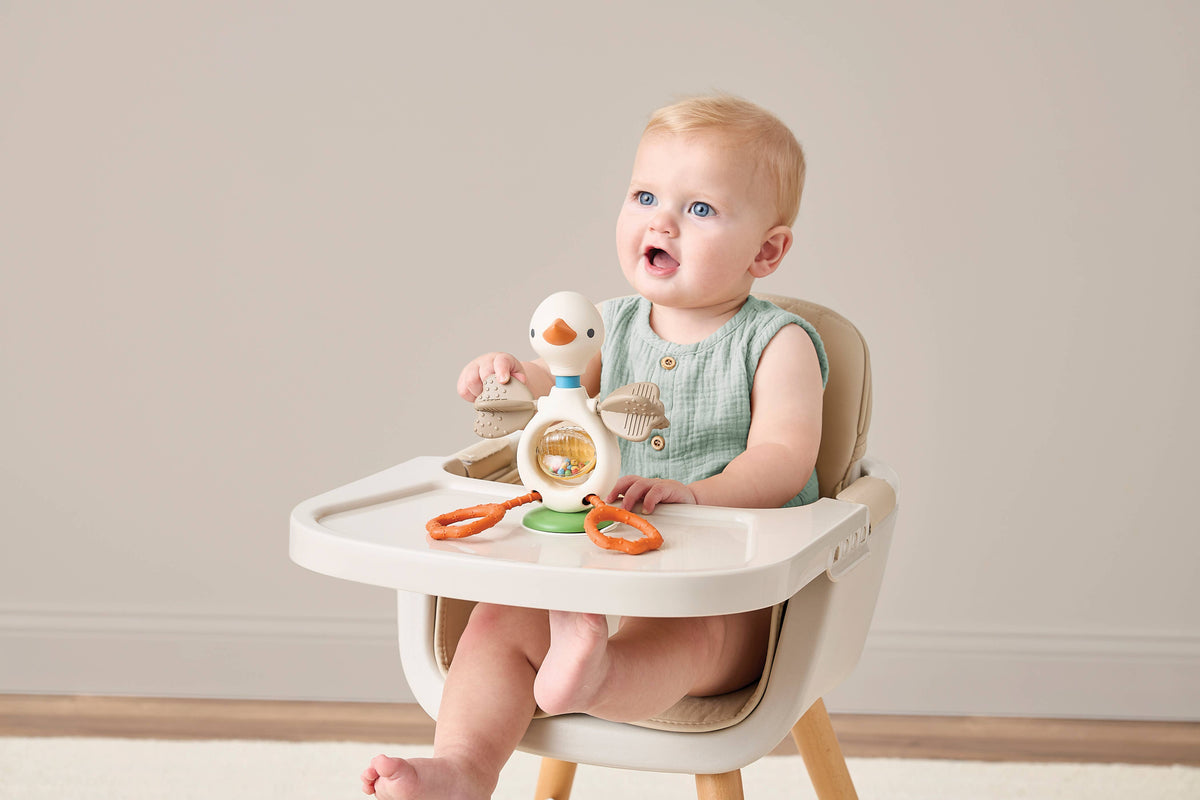 Itzy Twist & Bop Sensory Goose