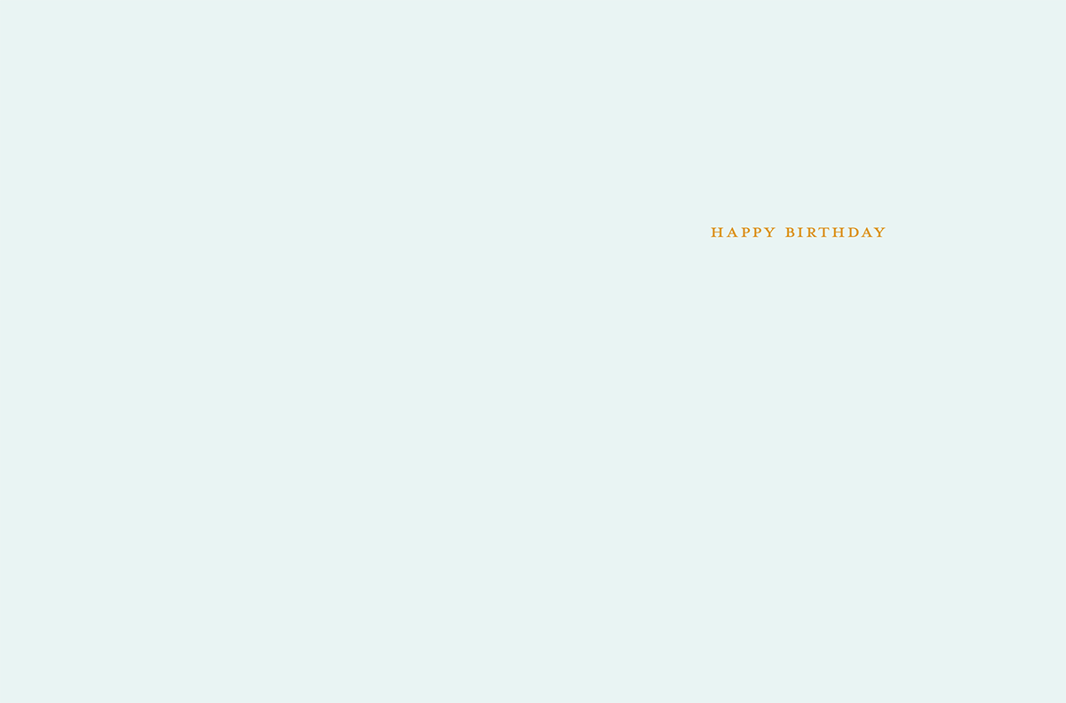 Calls for Cake Birthday Card