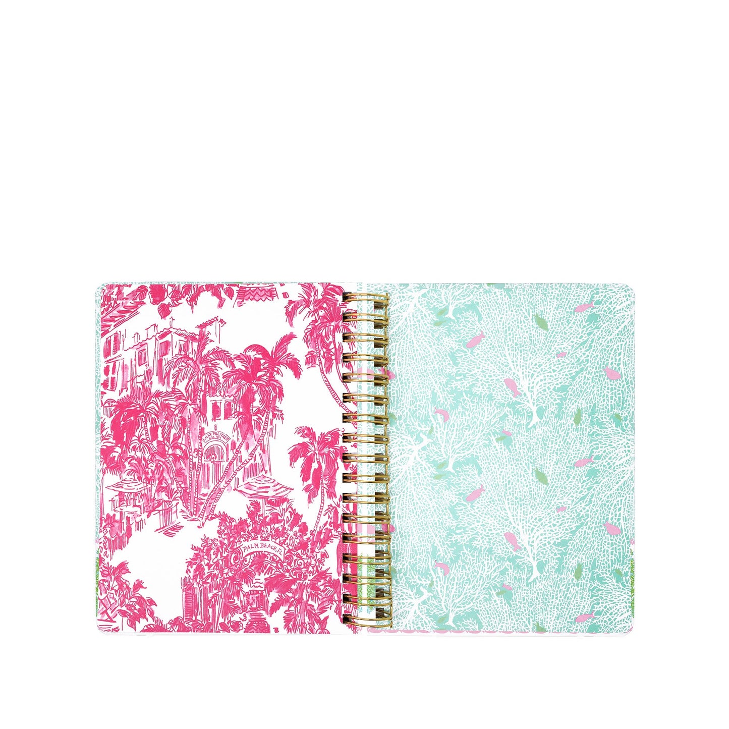 LP Large Agenda (Fantastical)