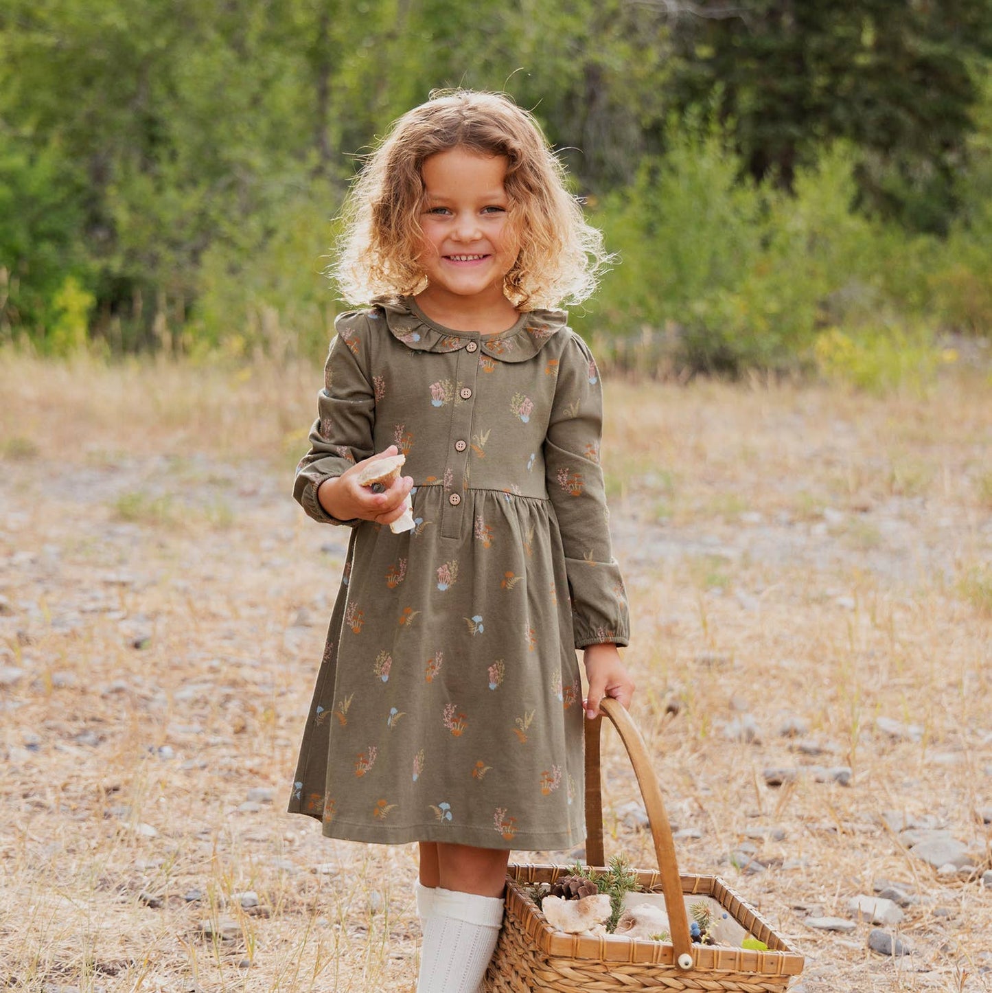 Frill Collar Dress