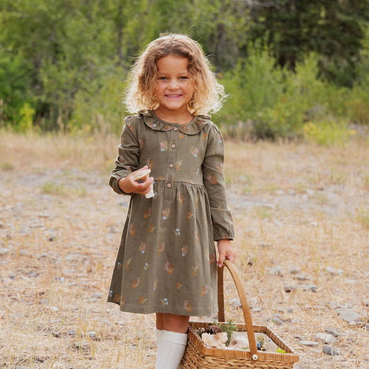 Frill Collar Dress