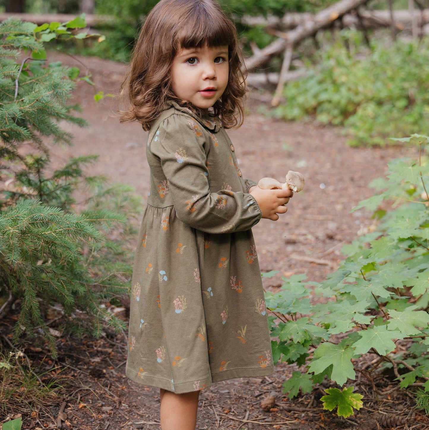 Frill Collar Dress