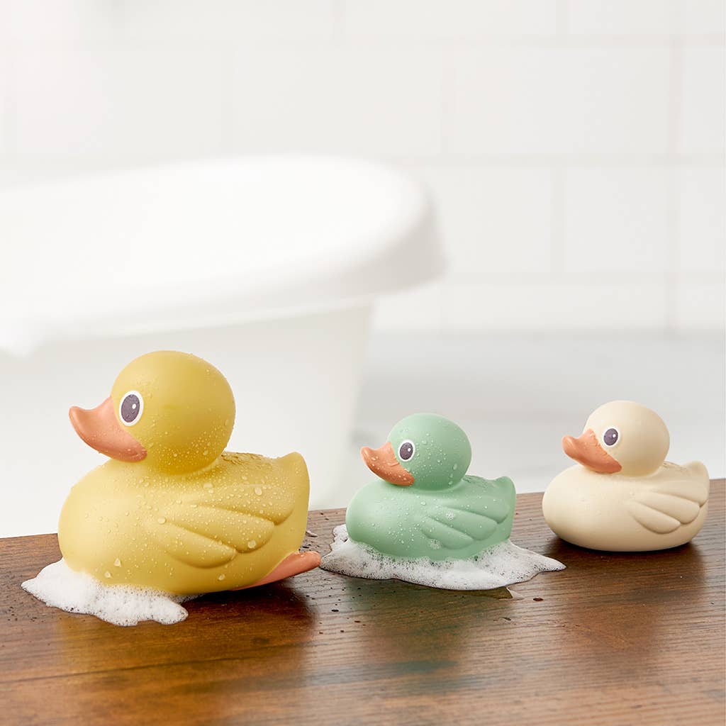 Itzy Ducky Family Water Toys