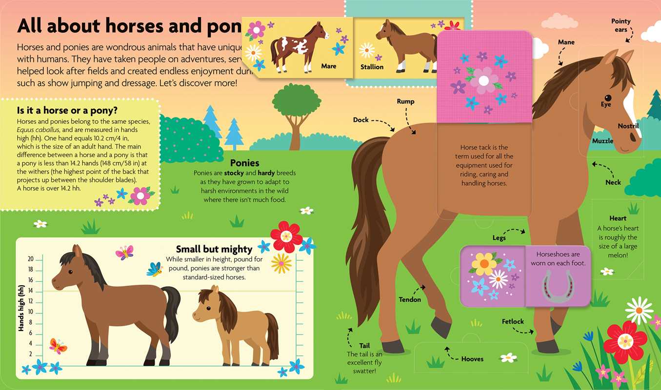 All About Horses & Ponies: Lift-the-Flap Book by