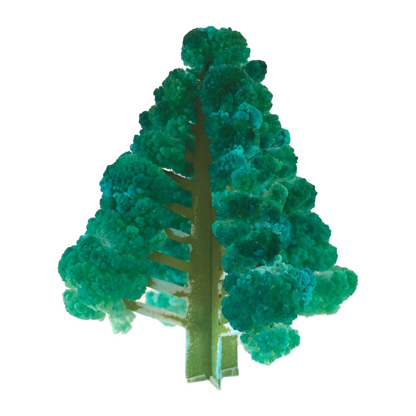 Crystal Growing Fir STEM Craft Kit