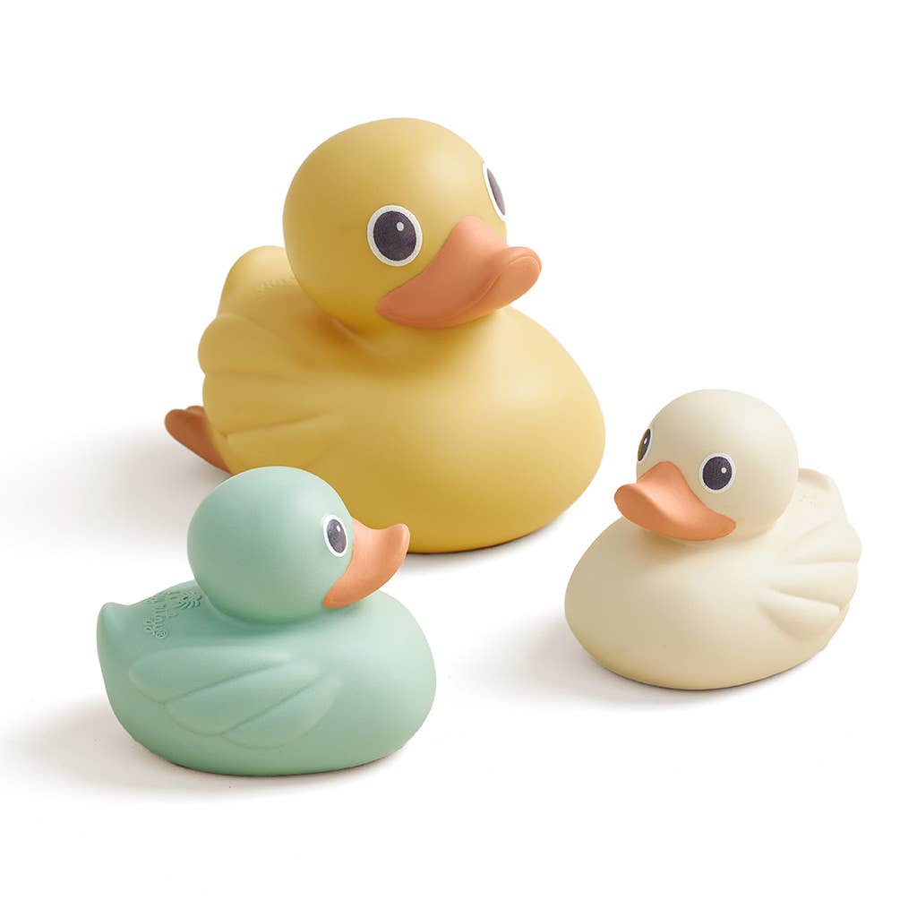 Itzy Ducky Family Water Toys