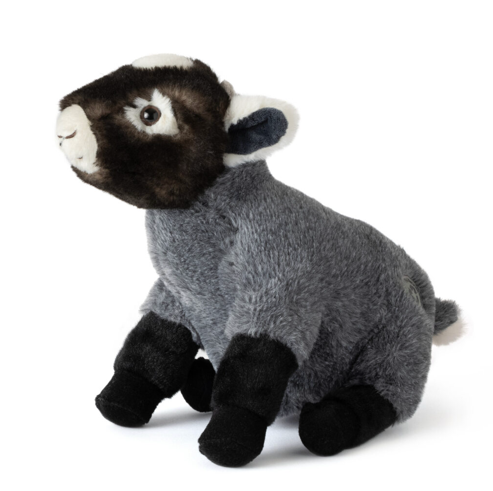 Pygmy Goat Plush