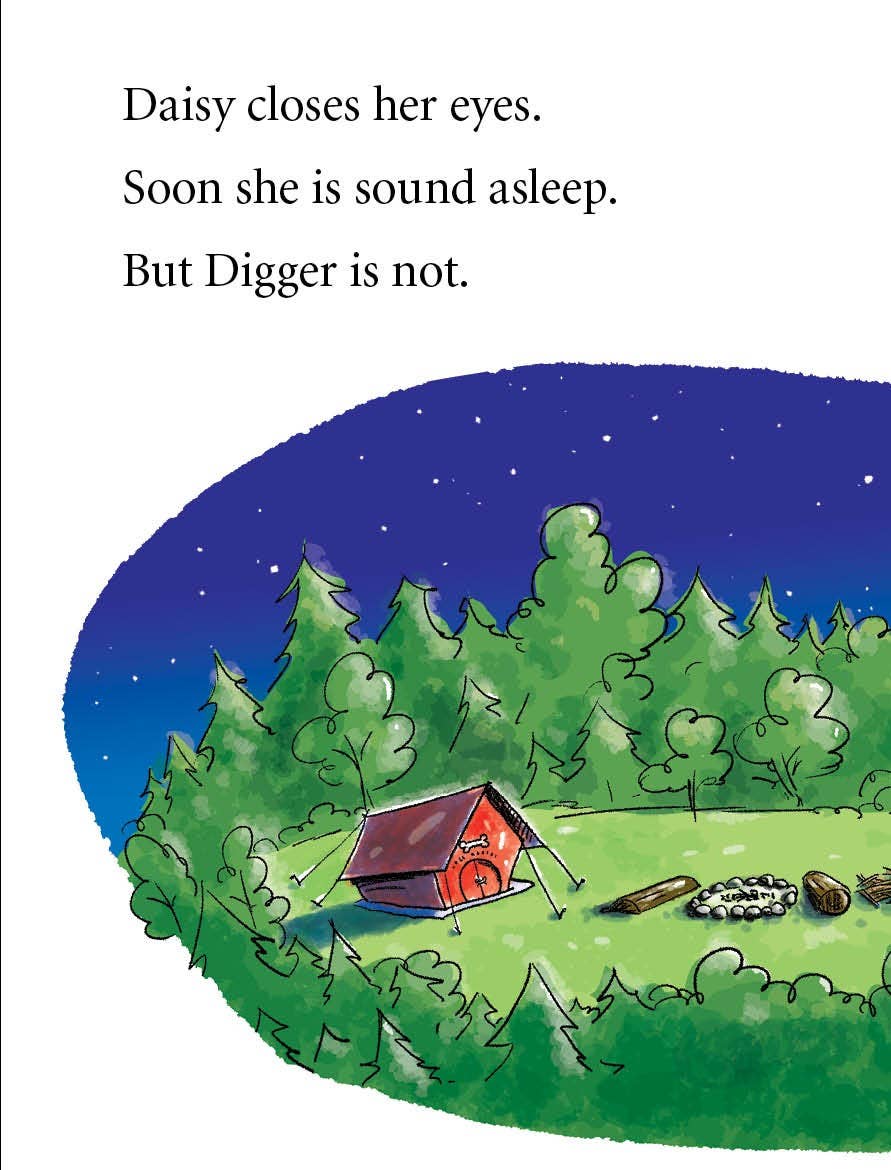 Digger and Daisy Go Camping Early Reader