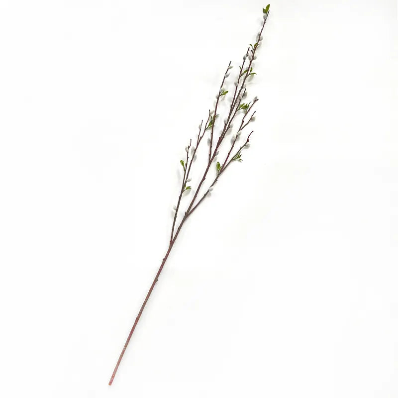 French Pussy Willow Stem