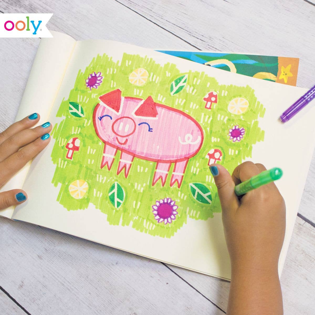 Erasable Markers Set