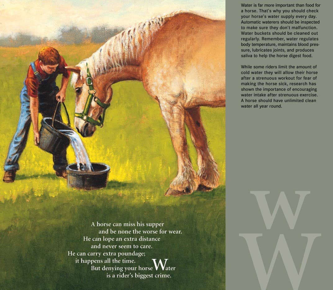 H is for Horse: An Equestrian Alphabet