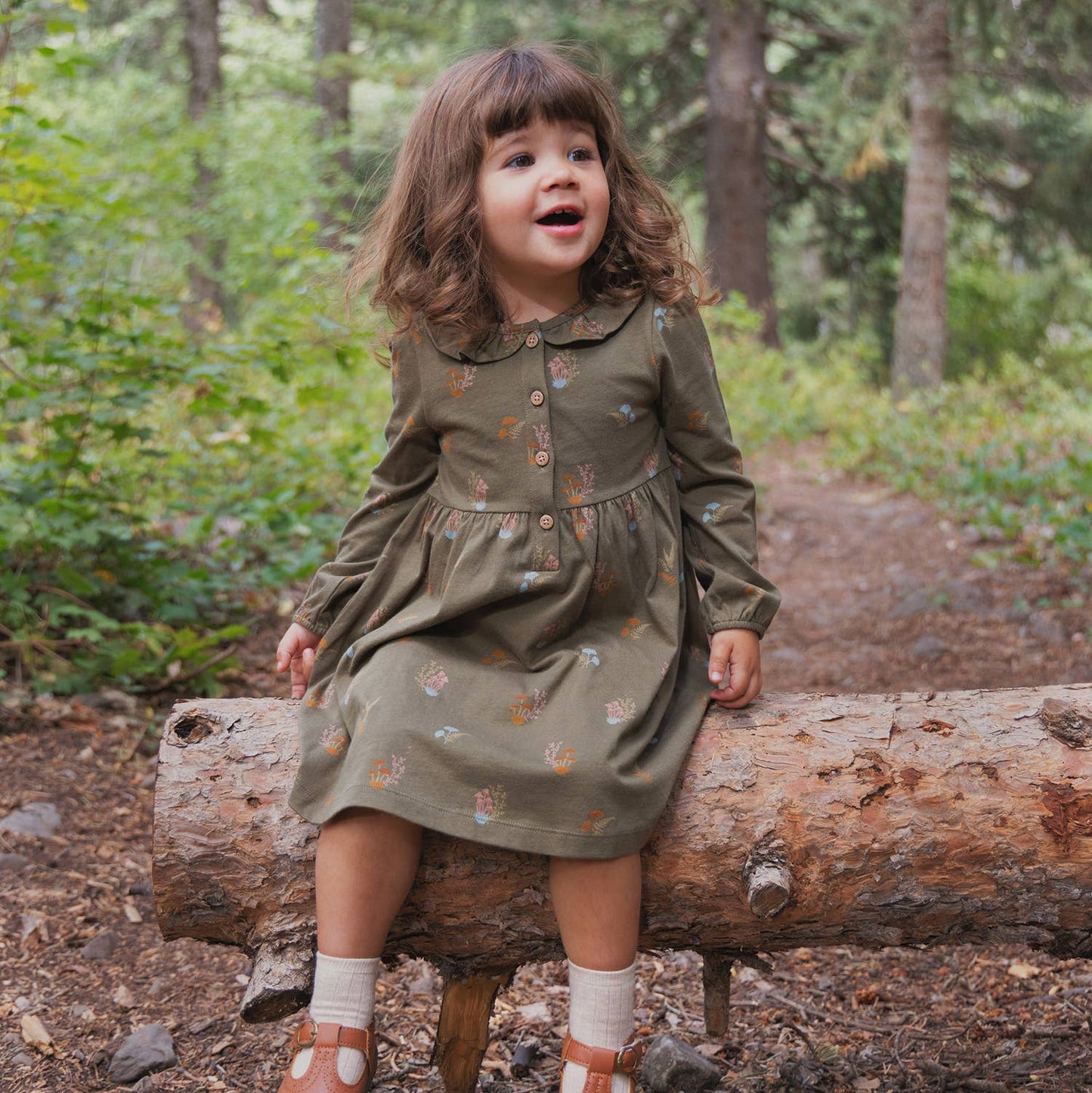 Frill Collar Dress