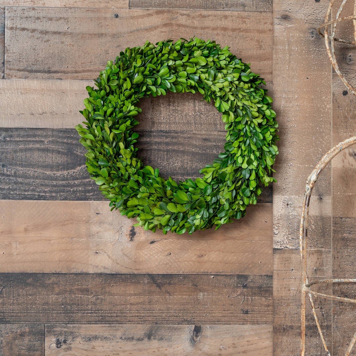 Preserved Boxwood  Wreath