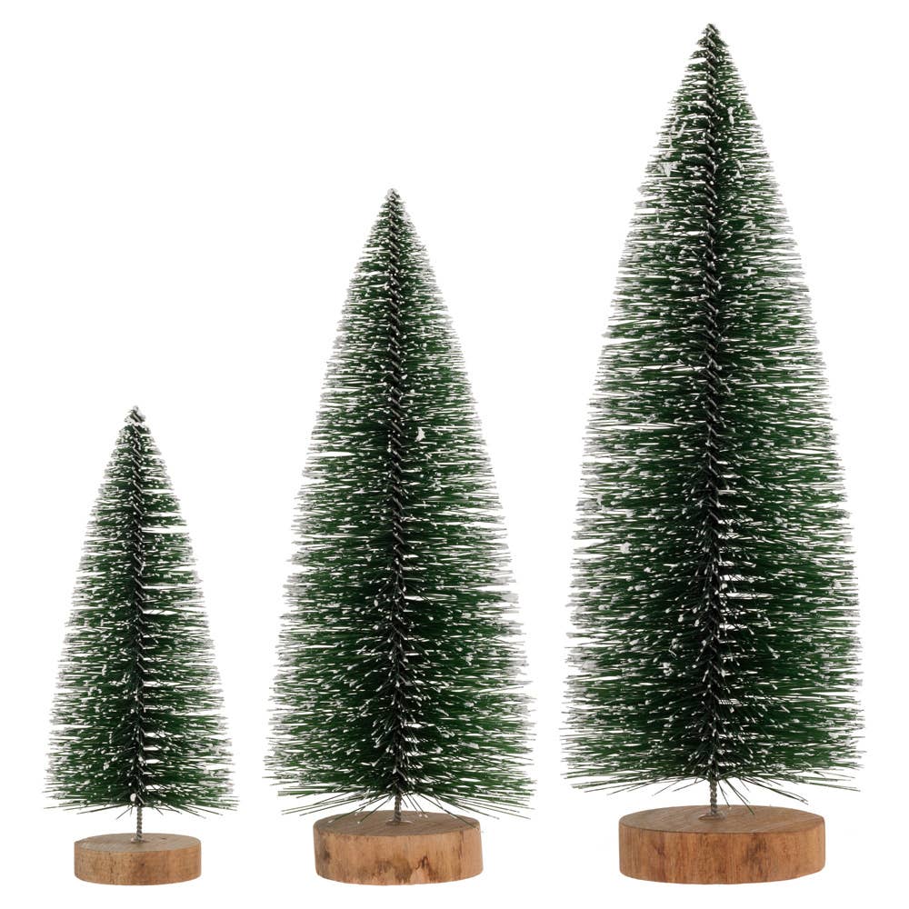 Medium Green White Tipped Bottle Brush Tree