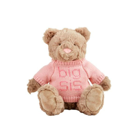 Big Sis/Bro Bear