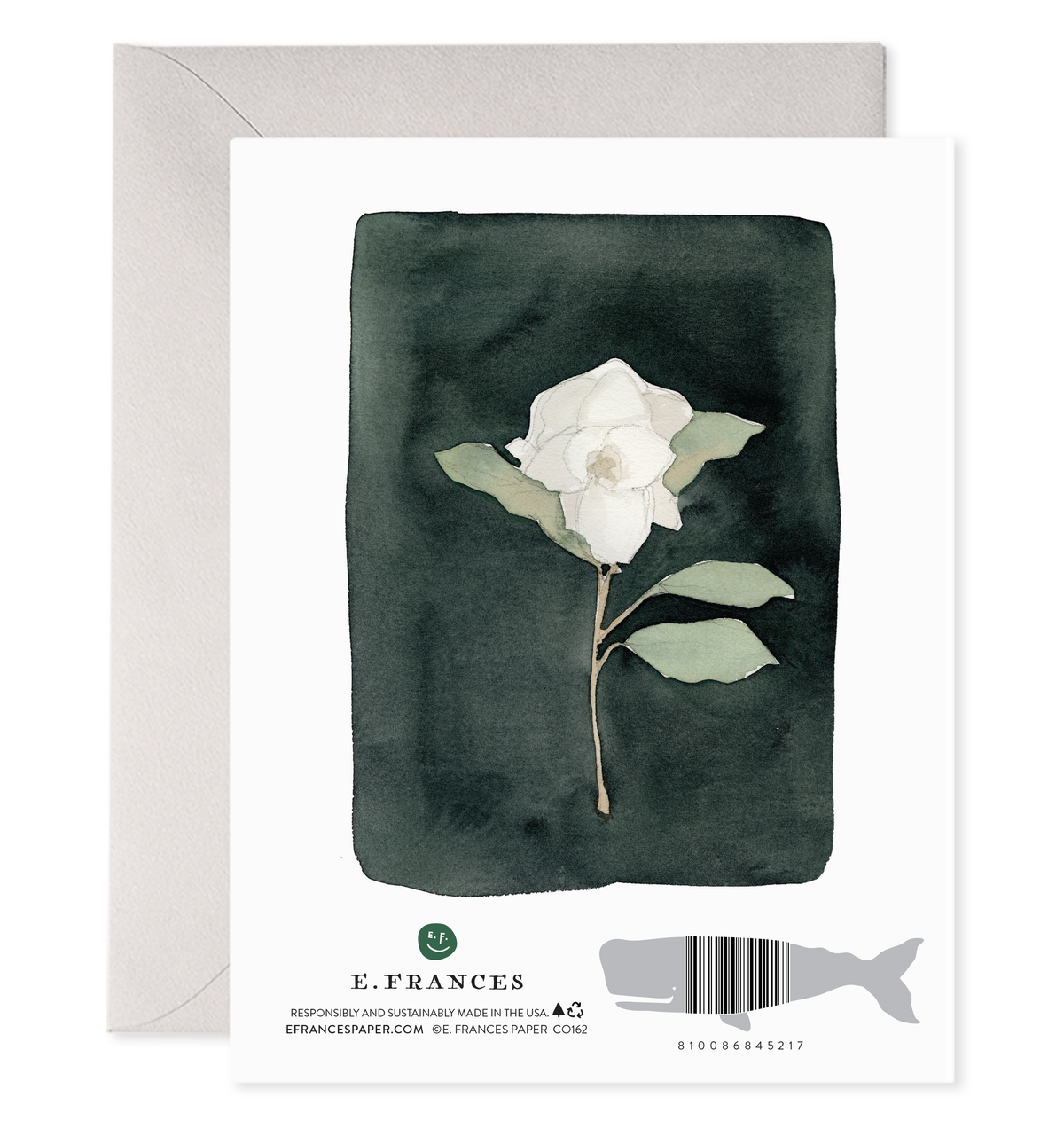 White Flower Condolence Greeting Card