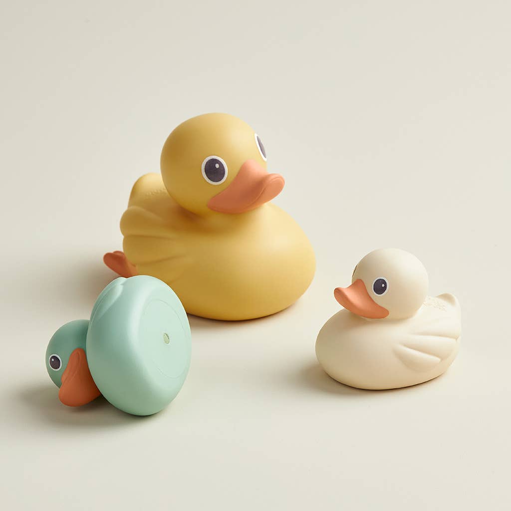 Itzy Ducky Family Water Toys