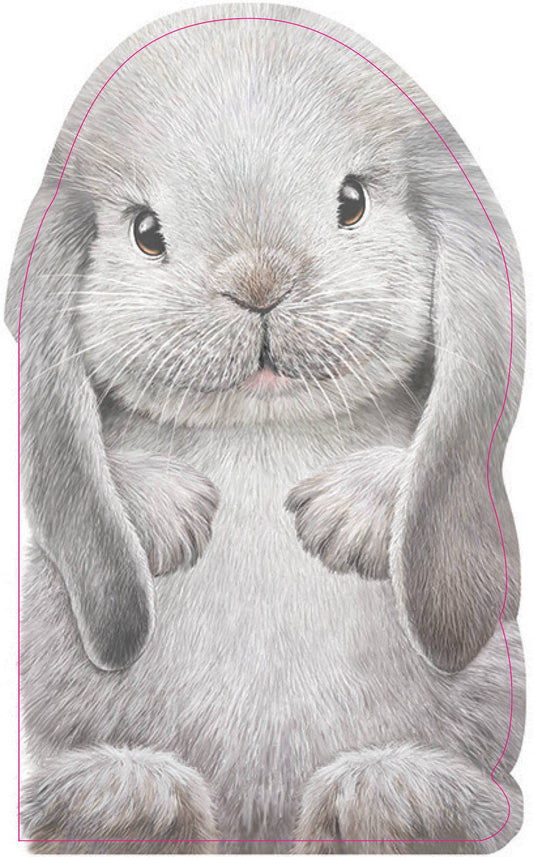 Furry Bunny