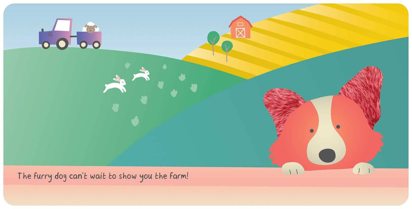 Farm Animals: My First Touch & Feel Book by