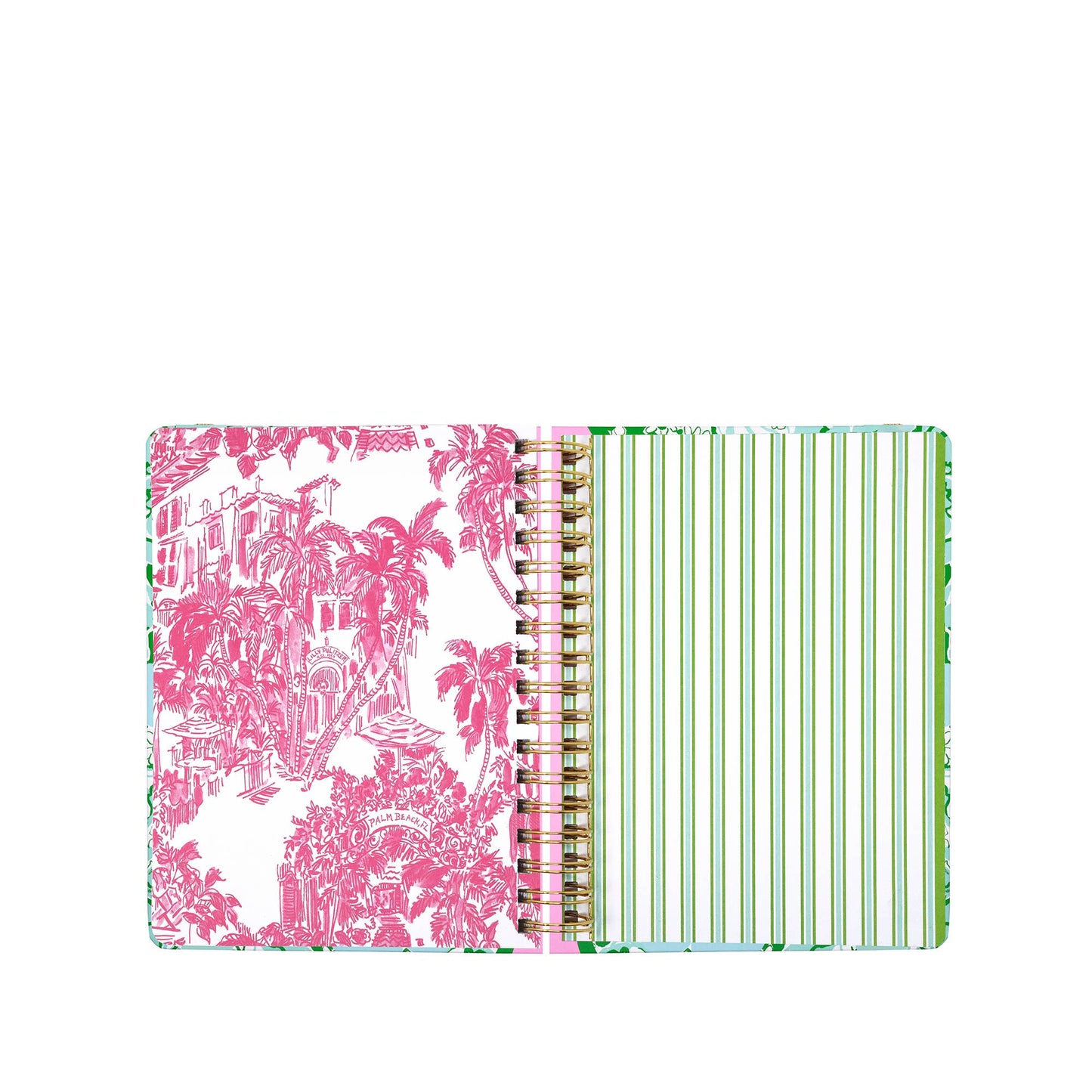 LP Large Agenda (Mint Condition)