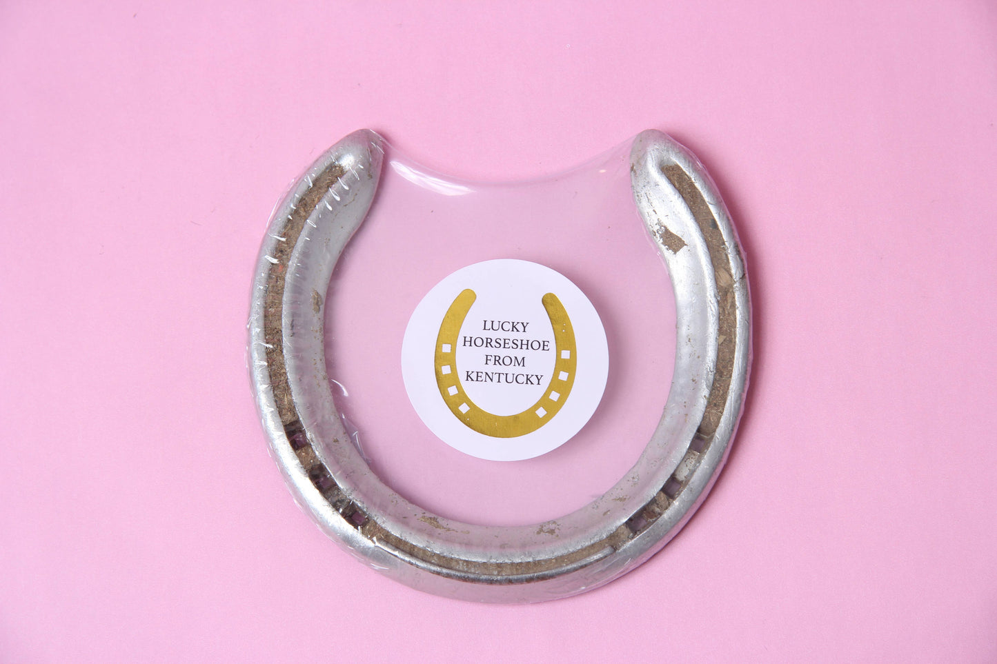 Authentic Used Racing Horseshoe