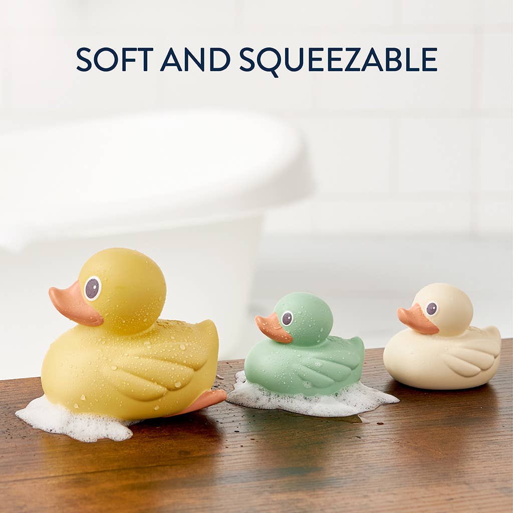 Itzy Ducky Family Water Toys