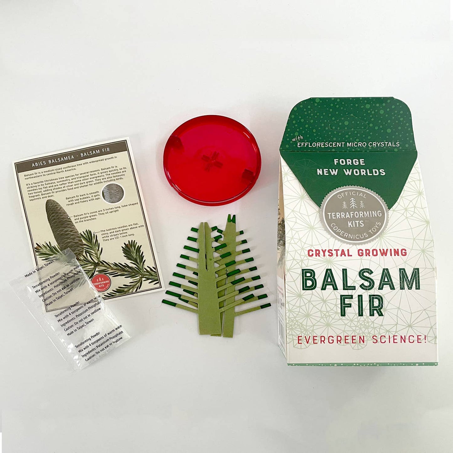 Crystal Growing Fir STEM Craft Kit
