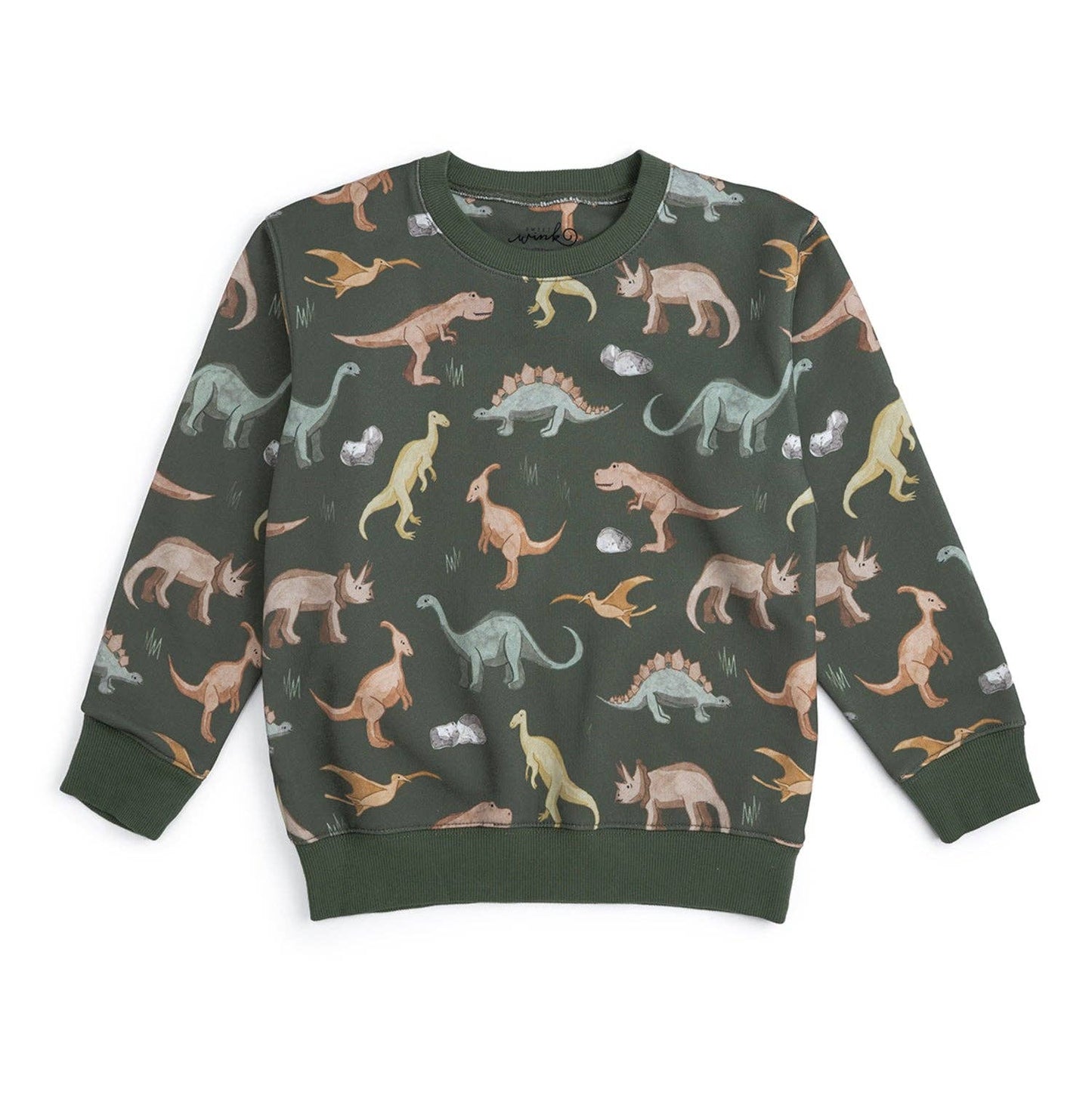 Dinosaurs Rock Sweatshirt