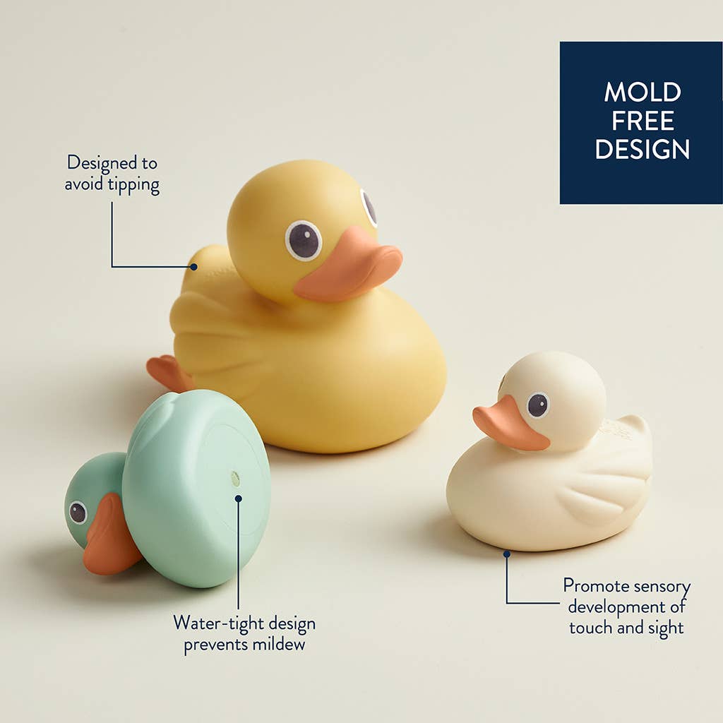 Itzy Ducky Family Water Toys