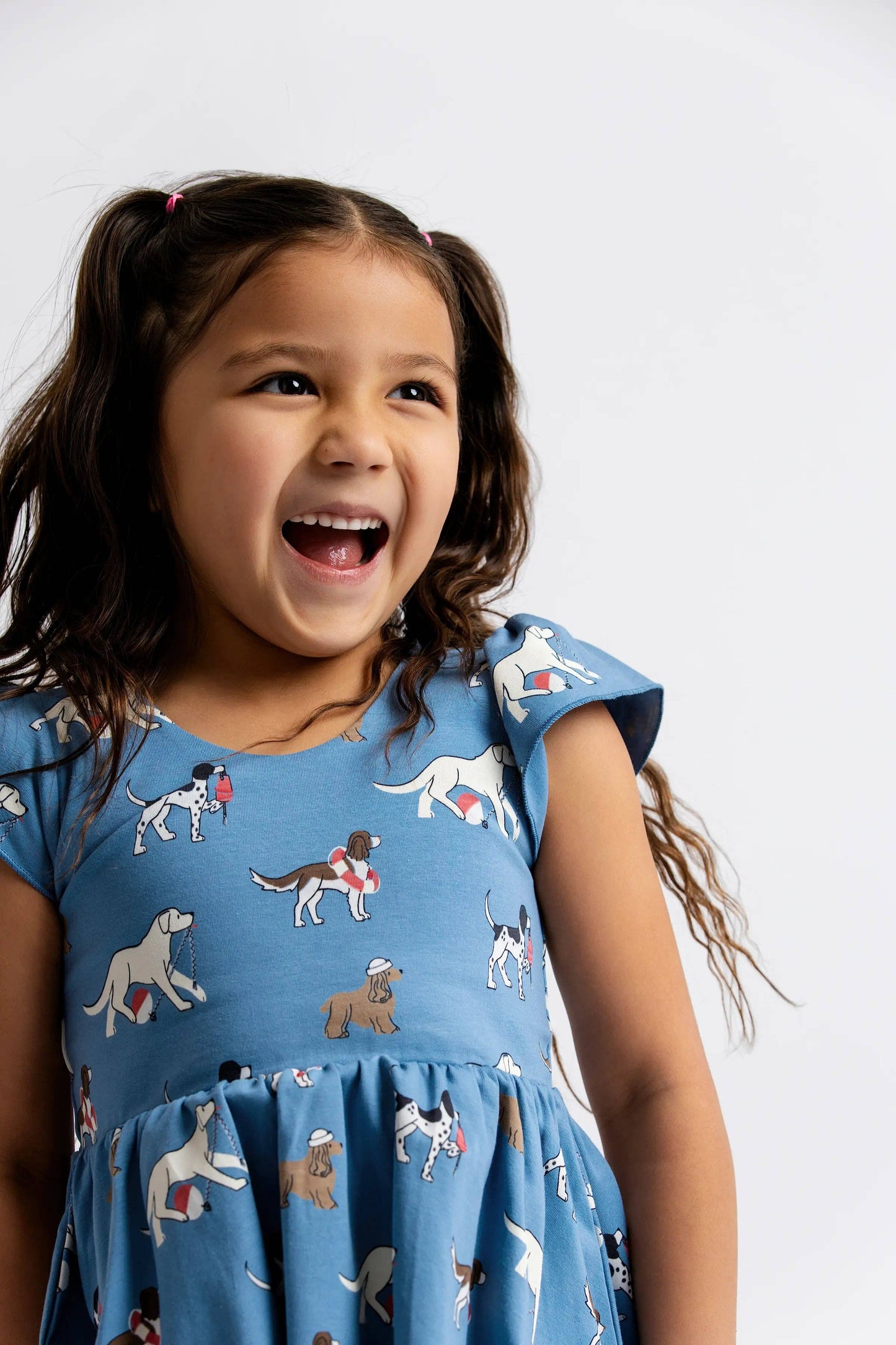 Nantucket Pups Dress
