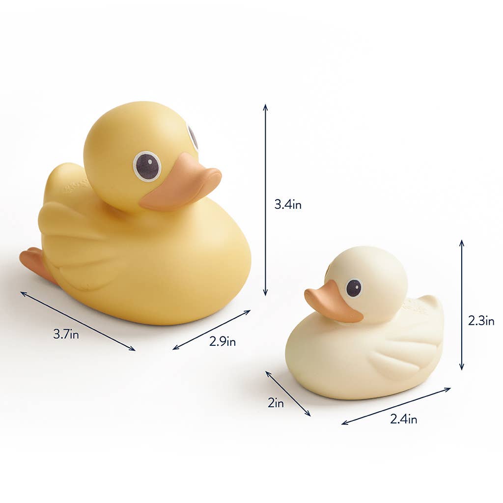Itzy Ducky Family Water Toys
