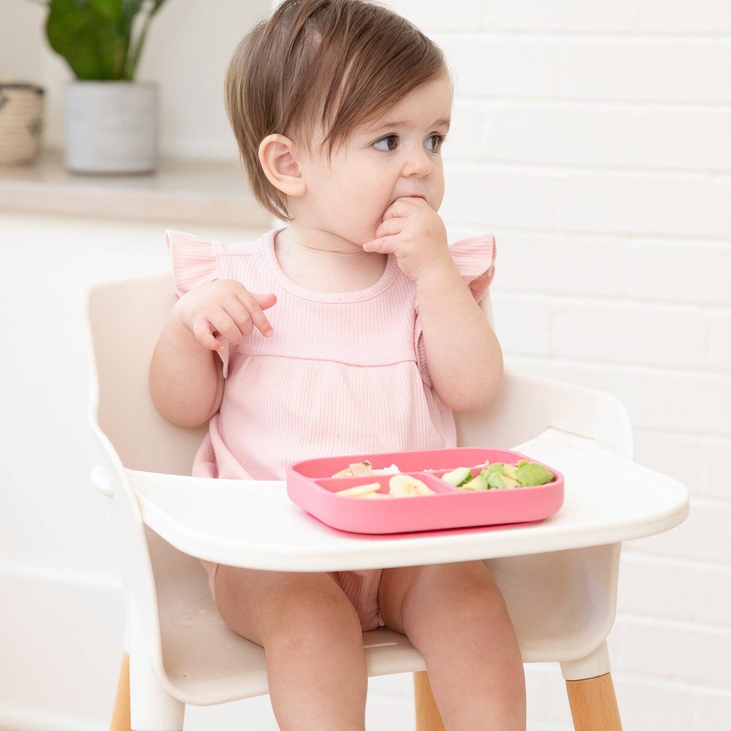 Garden Party Beginner Bundle